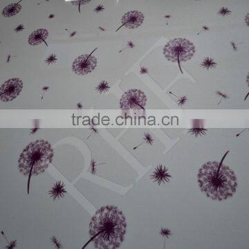 Latest Design UV HPL/UV High Pressure Laminate/UV HPL Board/ UV HPL Sheet/Decorative HPL Sheet/HPL-Daffodil