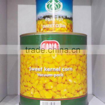 Export Canned Sweet Yellow Corn 340gx24tin photo-4