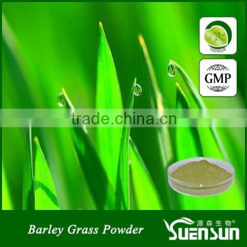 hot sell wheat grass powder