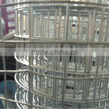 electro galvanized welded wire mesh