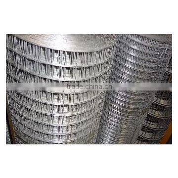 Welded Wire Mesh