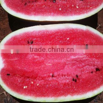 fresh watermelon