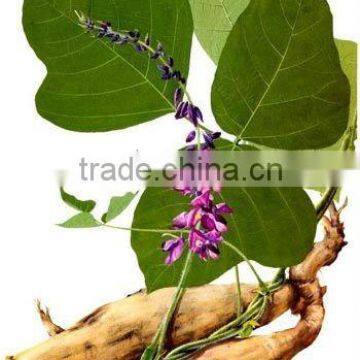 Kudzu Root P.E. 40%/60%/ 98% Puerarin