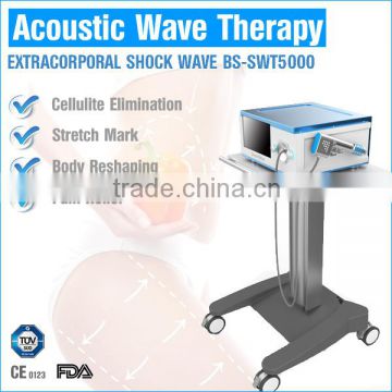 BEST ESWT Extracorporeal Shockwave Therapy for horse racing