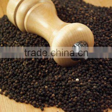 500G/L 550G/L 570G/L HIGH QUALITY BEST PRICE VIETNAM WHOLE SALE PEPPER liquid spice (Whatsaap: +84965152844)