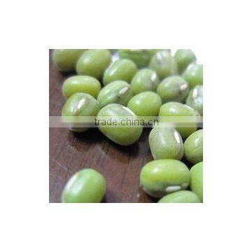 MUNG BEANS