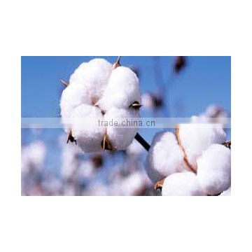 100% Combed Cotton Yarn