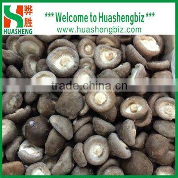 PRICE FOR FROZEN SHIITAKE MUSHROOM GRADE A