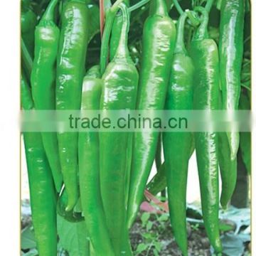 Hybrid green red chilli pepper seeds for sale-Diao Chan