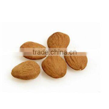 High Quality Spanish Marcona Almond