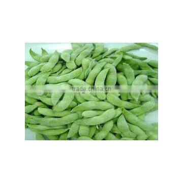Best selling Vietnam high quality IQF frozen soybean