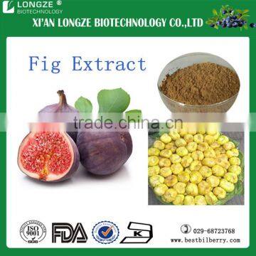 00% Water-soluble Organic Fig Leaf Extract 10:1,20:1 Fig Extract Powder