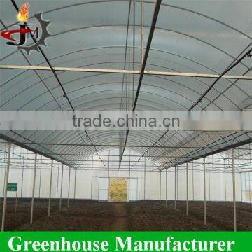 Multi Span Cheap uv Protected Plastic Greenhouse