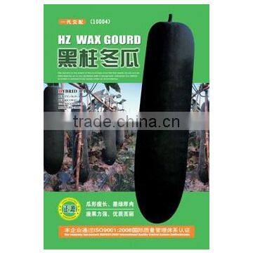 Black Gourd Big Vegetable Seeds High Quality Seeds photo-3