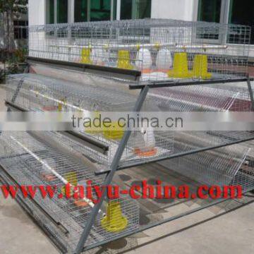 TAIYU Factory Price Cage Chicks 120 for Sale