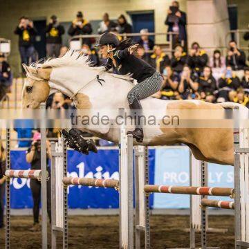 Horse Lead Rope Equestrian Product With Leather Knots photo-3