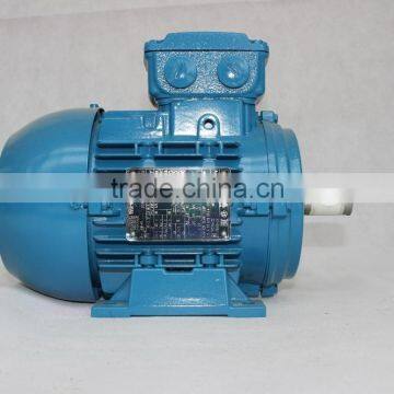 Asynchronous Motor Three Phase Induction Electric Motor Squirrel Cage Motor