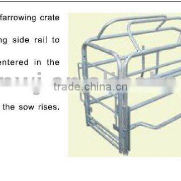 farrowing crate