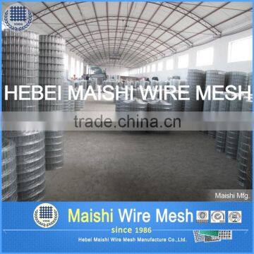 Welded Wire Mesh/Galvanized Welded Wire Mesh photo-5