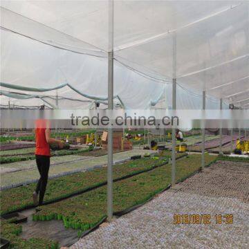 Multi-Span Agricultural Greenhouses photo-3