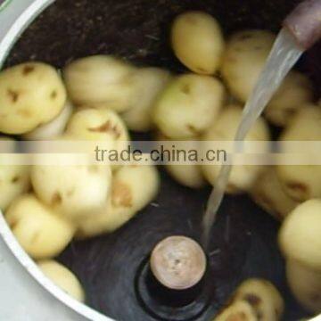 CE 2015 Hot Sale TP500 Automatic Potato Peeler Machine photo-4
