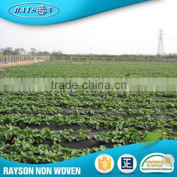 Hot Sale High Quality Black Plastic Agriculture Mulch Film