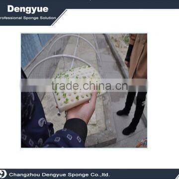 Agricultural Polyurethane High Densuty Seed Starter Foam Tray photo-3