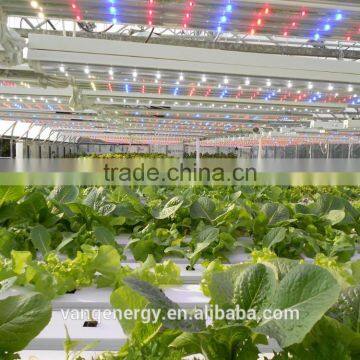 20W Led Grow Light Tube Vertical Farming Hydroponic/aquaponics Tomato Led Light