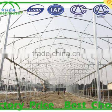 Poly Tunnel Greenhouses Manufacture Supplier photo-4