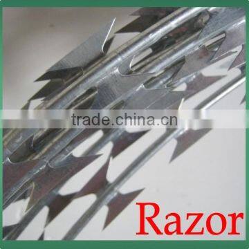 2015 Best Selling !Hot-dipped Galvanized BT0-12 Razor Barbed Wire photo-3