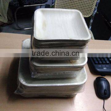Bio Degradable Plates photo-2
