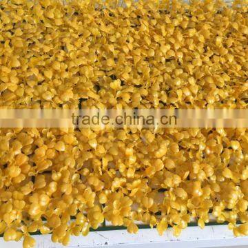 2017 Hot Sale Artificial Colored Turf for Tennis Court for Decoration photo-2