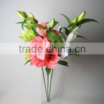 Natural Vallota speciosa fabric Vallota speciosa decorative Vallota speciosa artificial flower for wholesale