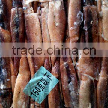 Frozen Good Illex Agentina Squid WR photo-2