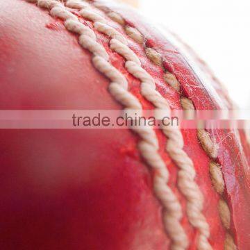 cricket ball