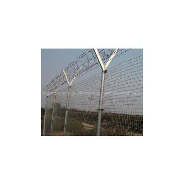 barbed wire  FACTORY