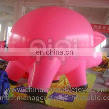 giant inflatable pig for advertisement