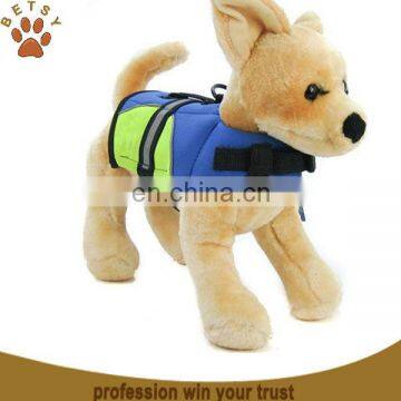 dog safety