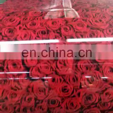 PPGI galvanized sheet color coated ppgi ral 9028