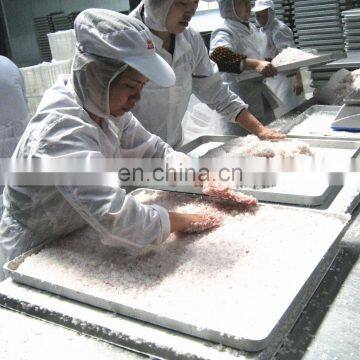 Hot Sale China Continuous Low Price and High Quality Vacuum Freeze Dry Machine for Sale photo-7