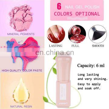 Nail Beauty Care Product 6ml 6 Pieces Nail Gel Polish Set With Gift Box Package photo-4
