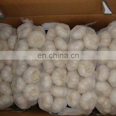 New Crop 2020 Delicious Fresh Garlic White Peeled Super Garlic photo-5