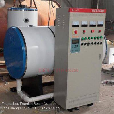 Introduction of 0.7T electric steam boiler for food cooking and production