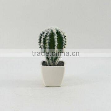 New design mini potted tropical artificial plastic cactus / succulent plant