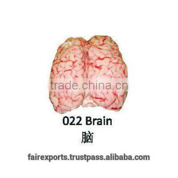 Brain - Halal Buffalo / Sheep Meat Offals