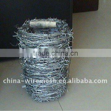 Straight Line razor wire