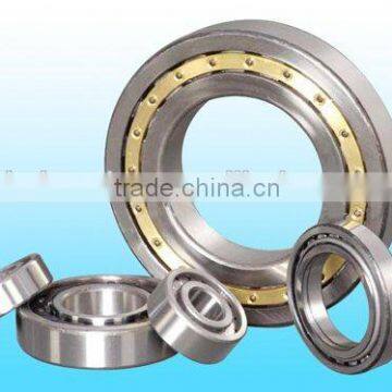 China Manufacturer Bearing /Cylindrical Roller Bearings N NJ NF NU NUP 310