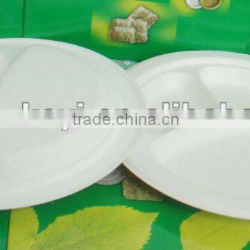 disposable food plate 10inch