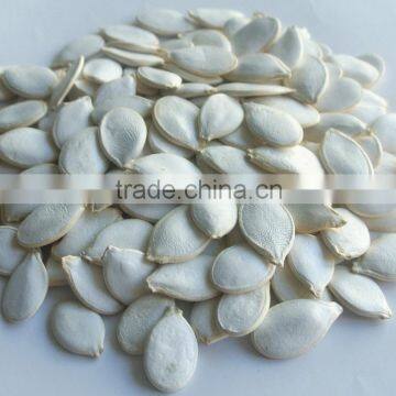 Crop Top Dried Pumpkin Seeds Snow White Pumpkin Seeds photo-2
