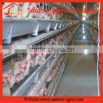 Stable steel structure chicken egg layer cage poultry farm equipment for sale in sri lanka